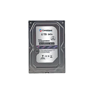 CONSISTENT SV HDD 4TB